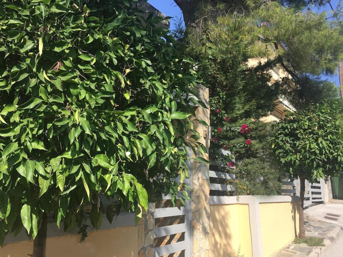 Elias Apartment Athens Luaran gambar